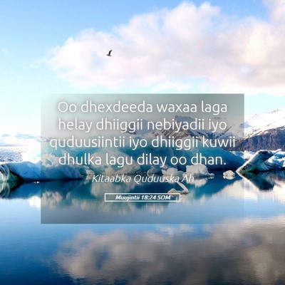 Picture 05 - Muujintii 18:24 SOM - Oo dhexdeeda waxaa laga helay dhiiggii nebiyadii - Bible Verse Picture