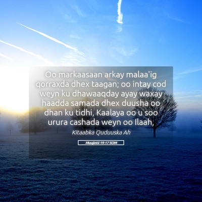 Picture 05 - Muujintii 19:17 SOM - Oo markaasaan arkay malaa'ig qorraxda dhex - Bible Verse Picture
