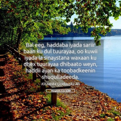 Picture 05 - Muujintii 2:22 SOM - Bal eeg, haddaba iyada sariir baan ku dul - Bible Verse Picture