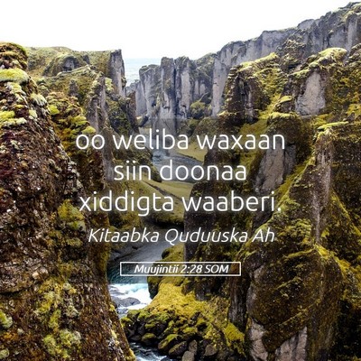 Picture 05 - Muujintii 2:28 SOM - oo weliba waxaan siin doonaa xiddigta - Bible Verse Picture