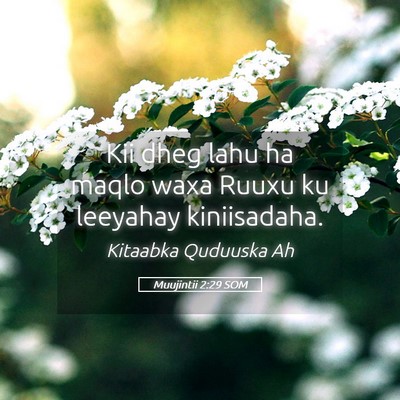 Picture 05 - Muujintii 2:29 SOM - Kii dheg lahu ha maqlo waxa Ruuxu ku leeyahay - Bible Verse Picture