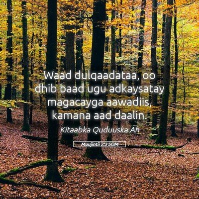 Picture 05 - Muujintii 2:3 SOM - Waad dulqaadataa, oo dhib baad ugu adkaysatay - Bible Verse Picture