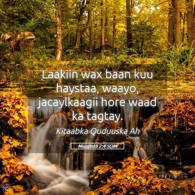 Picture 05 - Muujintii 2:4 SOM - Laakiin wax baan kuu haystaa, waayo, jacaylkaagii - Bible Verse Picture