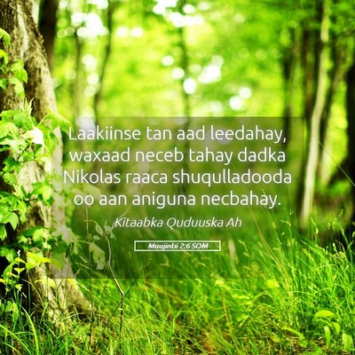 Picture 05 - Muujintii 2:6 SOM - Laakiinse tan aad leedahay, waxaad neceb tahay - Bible Verse Picture