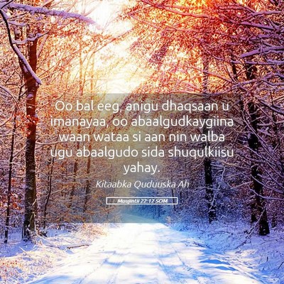 Picture 05 - Muujintii 22:12 SOM - Oo bal eeg, anigu dhaqsaan u imanayaa, oo - Bible Verse Picture