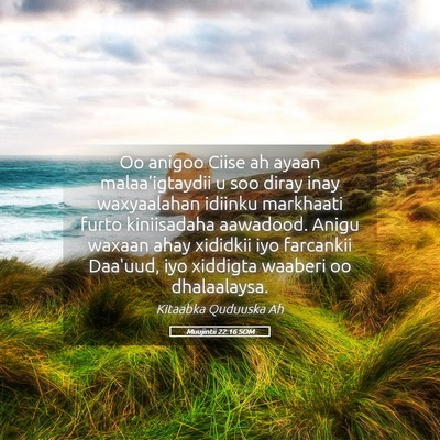 Picture 05 - Muujintii 22:16 SOM - Oo anigoo Ciise ah ayaan malaa'igtaydii u soo - Bible Verse Picture
