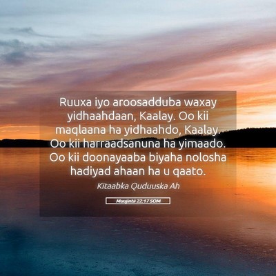 Picture 05 - Muujintii 22:17 SOM - Ruuxa iyo aroosadduba waxay yidhaahdaan, Kaalay. - Bible Verse Picture