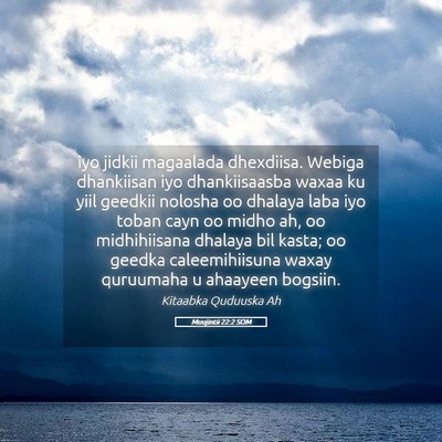 Picture 05 - Muujintii 22:2 SOM - iyo jidkii magaalada dhexdiisa. Webiga dhankiisan - Bible Verse Picture