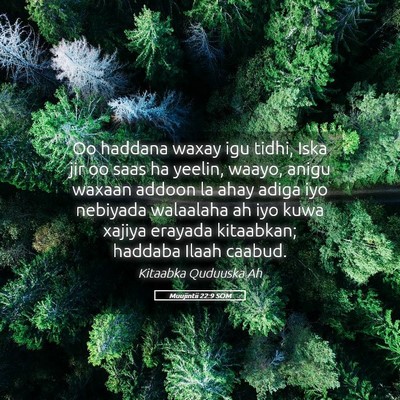 Picture 05 - Muujintii 22:9 SOM - Oo haddana waxay igu tidhi, Iska jir oo saas ha - Bible Verse Picture