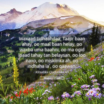 Picture 05 - Muujintii 3:17 SOM - Waxaad tidhaahdaa, Taajir baan ahay, oo maal baan - Bible Verse Picture