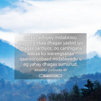 Picture 05 - Muujintii 4:3 SOM - oo kii fadhiyey midabkiisu wuxuu u ekaa dhagax - Bible Verse Picture