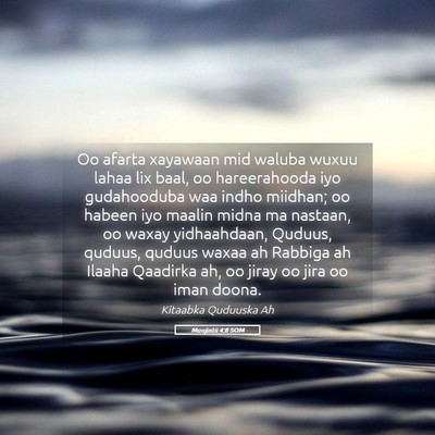 Picture 05 - Muujintii 4:8 SOM - Oo afarta xayawaan mid waluba wuxuu lahaa lix - Bible Verse Picture