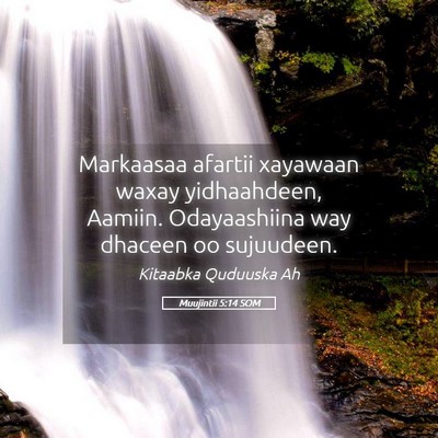 Picture 05 - Muujintii 5:14 SOM - Markaasaa afartii xayawaan waxay yidhaahdeen, - Bible Verse Picture