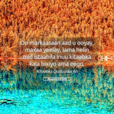 Picture 05 - Muujintii 5:4 SOM - Oo markaasaan aad u ooyay, maxaa yeelay, lama - Bible Verse Picture