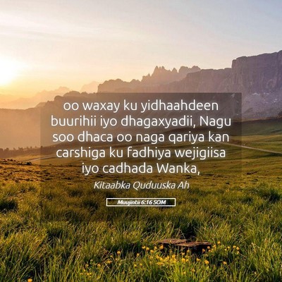 Picture 05 - Muujintii 6:16 SOM - oo waxay ku yidhaahdeen buurihii iyo dhagaxyadii, - Bible Verse Picture