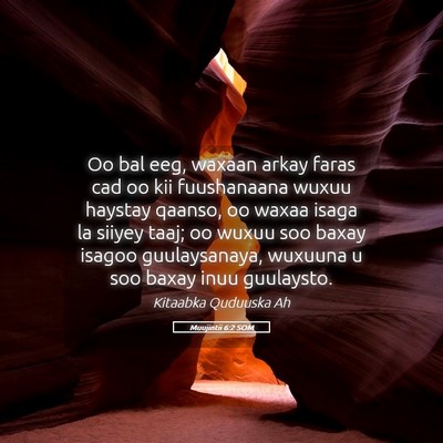 Picture 05 - Muujintii 6:2 SOM - Oo bal eeg, waxaan arkay faras cad oo kii - Bible Verse Picture
