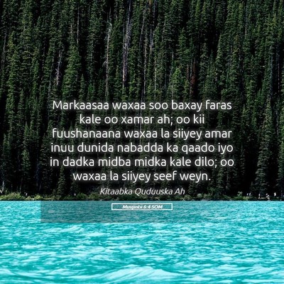 Picture 05 - Muujintii 6:4 SOM - Markaasaa waxaa soo baxay faras kale oo xamar ah; - Bible Verse Picture