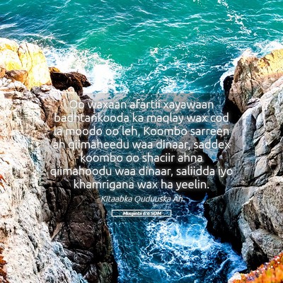 Picture 05 - Muujintii 6:6 SOM - Oo waxaan afartii xayawaan badhtankooda ka maqlay - Bible Verse Picture