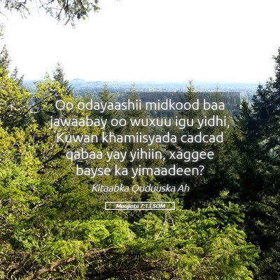 Picture 05 - Muujintii 7:13 SOM - Oo odayaashii midkood baa jawaabay oo wuxuu igu - Bible Verse Picture