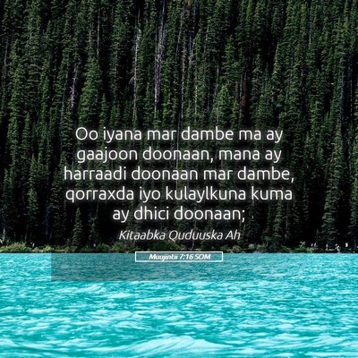 Picture 05 - Muujintii 7:16 SOM - Oo iyana mar dambe ma ay gaajoon doonaan, mana ay - Bible Verse Picture