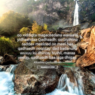 Picture 05 - Muujintii 8:11 SOM - oo xiddigta magaceedana waxaa la yidhaahdaa - Bible Verse Picture