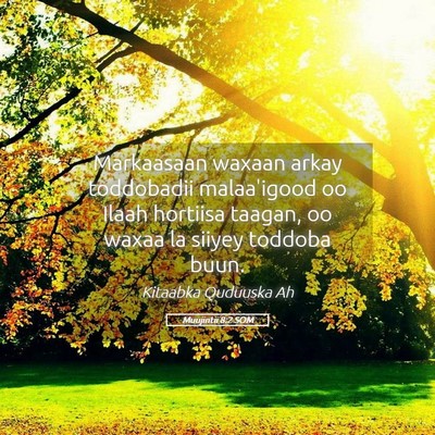 Picture 05 - Muujintii 8:2 SOM - Markaasaan waxaan arkay toddobadii malaa'igood oo - Bible Verse Picture