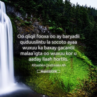 Picture 05 - Muujintii 8:4 SOM - Oo qiiqii fooxa oo ay baryadii quduusiintu la - Bible Verse Picture