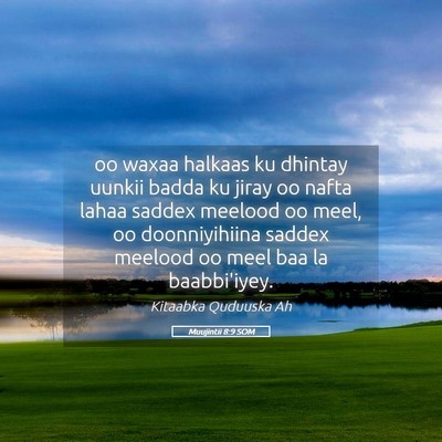Picture 05 - Muujintii 8:9 SOM - oo waxaa halkaas ku dhintay uunkii badda ku jiray - Bible Verse Picture