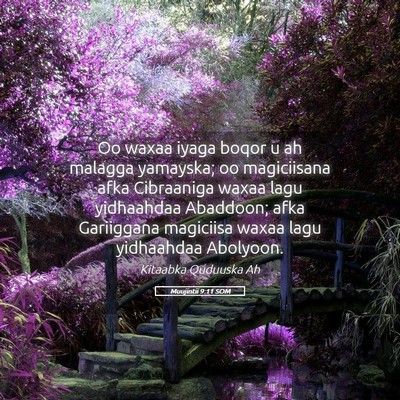Picture 05 - Muujintii 9:11 SOM - Oo waxaa iyaga boqor u ah malagga yamayska; oo - Bible Verse Picture
