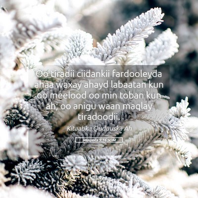 Picture 05 - Muujintii 9:16 SOM - Oo tiradii ciidankii fardooleyda ahaa waxay ahayd - Bible Verse Picture