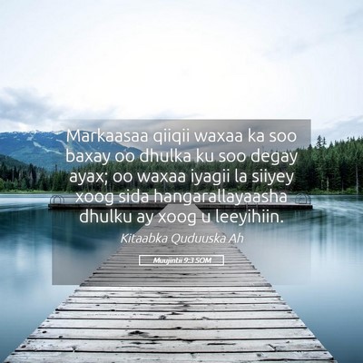 Picture 05 - Muujintii 9:3 SOM - Markaasaa qiiqii waxaa ka soo baxay oo dhulka ku - Bible Verse Picture