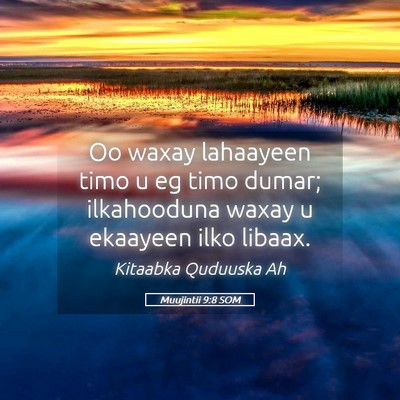 Picture 05 - Muujintii 9:8 SOM - Oo waxay lahaayeen timo u eg timo dumar; - Bible Verse Picture