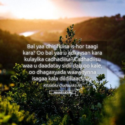 Picture 05 - Naxuum 1:6 SOM - Bal yaa dhirifkiisa is-hor taagi kara? Oo bal yaa - Bible Verse Picture