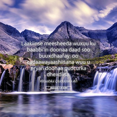 Picture 05 - Naxuum 1:8 SOM - Laakiinse meesheeda wuxuu ku baabbi'in doonaa - Bible Verse Picture