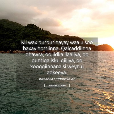 Picture 05 - Naxuum 2:1 SOM - Kii wax burburinayay waa u soo baxay hortiinna. - Bible Verse Picture