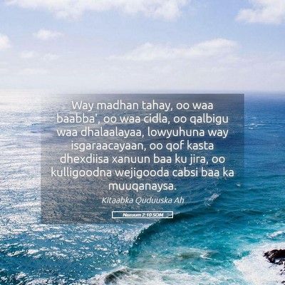 Picture 05 - Naxuum 2:10 SOM - Way madhan tahay, oo waa baabba', oo waa cidla, - Bible Verse Picture