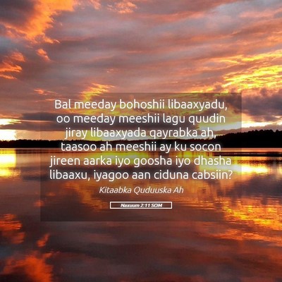 Picture 05 - Naxuum 2:11 SOM - Bal meeday bohoshii libaaxyadu, oo meeday meeshii - Bible Verse Picture