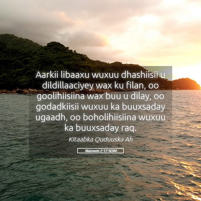 Picture 05 - Naxuum 2:12 SOM - Aarkii libaaxu wuxuu dhashiisii u dildillaaciyey - Bible Verse Picture