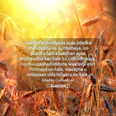 Picture 05 - Naxuum 2:4 SOM - Gaadhifardoodyada ayaa jidadka dhexdooda ka - Bible Verse Picture