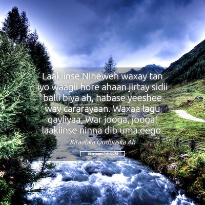 Picture 05 - Naxuum 2:8 SOM - Laakiinse Nineweh waxay tan iyo waagii hore ahaan - Bible Verse Picture