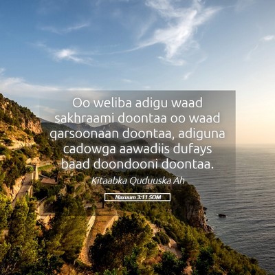 Picture 05 - Naxuum 3:11 SOM - Oo weliba adigu waad sakhraami doontaa oo waad - Bible Verse Picture