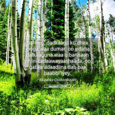 Picture 05 - Naxuum 3:13 SOM - Bal eeg, dadkaaga ku dhex jooga waa dumar, oo - Bible Verse Picture