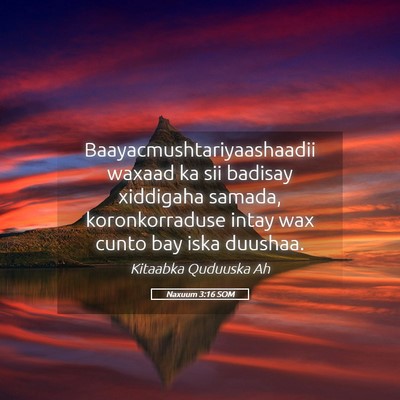 Picture 05 - Naxuum 3:16 SOM - Baayacmushtariyaashaadii waxaad ka sii badisay - Bible Verse Picture