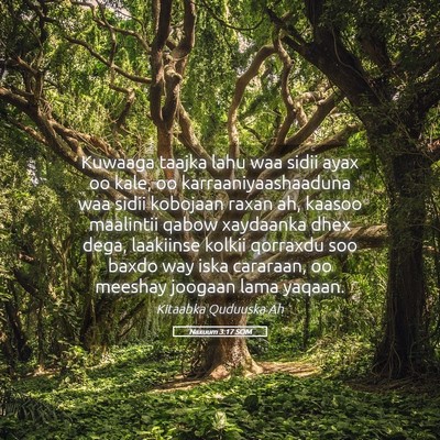 Picture 05 - Naxuum 3:17 SOM - Kuwaaga taajka lahu waa sidii ayax oo kale, oo - Bible Verse Picture