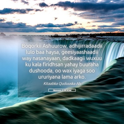 Picture 05 - Naxuum 3:18 SOM - Boqorkii Ashuurow, adhijirradaadii lulo baa - Bible Verse Picture
