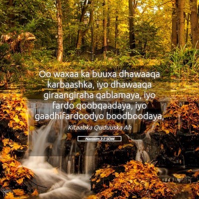 Picture 05 - Naxuum 3:2 SOM - Oo waxaa ka buuxa dhawaaqa karbaashka, iyo - Bible Verse Picture