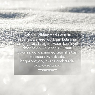 Picture 05 - Naxuum 3:5 SOM - Rabbigii ciidammadu wuxuu leeyahay, Bal eeg, col - Bible Verse Picture