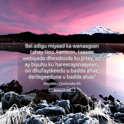 Picture 05 - Naxuum 3:8 SOM - Bal adigu miyaad ka wanaagsan tahay Noo Aamoon, - Bible Verse Picture