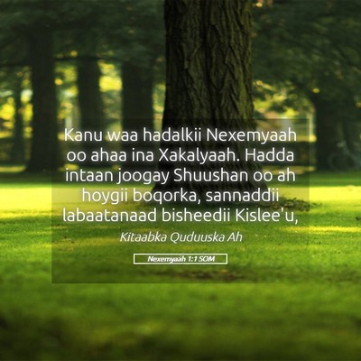 Picture 05 - Nexemyaah 1:1 SOM - Kanu waa hadalkii Nexemyaah oo ahaa ina - Bible Verse Picture