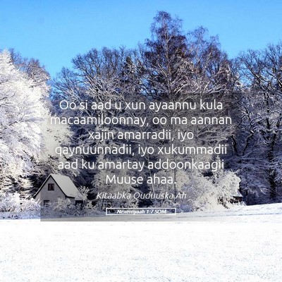 Picture 05 - Nexemyaah 1:7 SOM - Oo si aad u xun ayaannu kula macaamiloonnay, oo - Bible Verse Picture